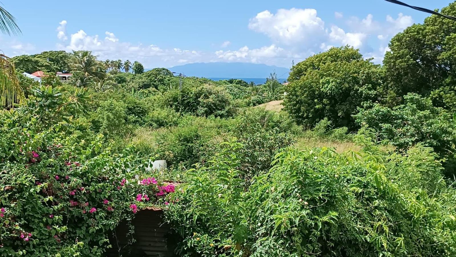 Отель La Jemeli Grand-Bourg  Экстерьер фото